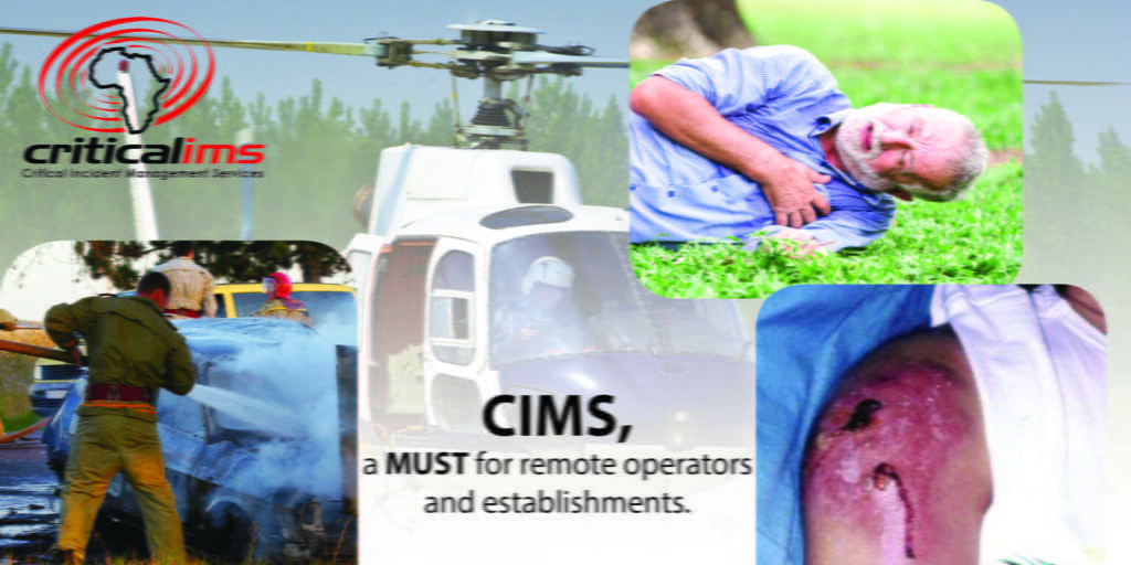 pic for CIMS article