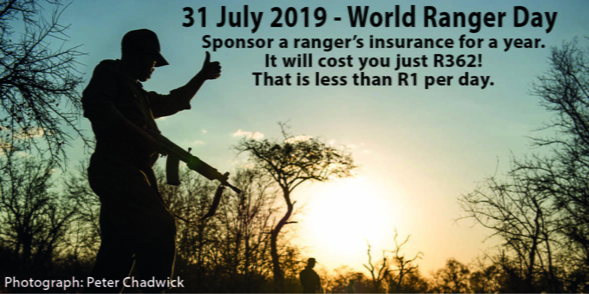 RP image for website