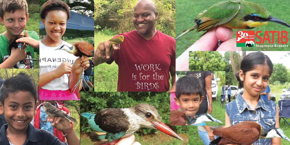 birdrng