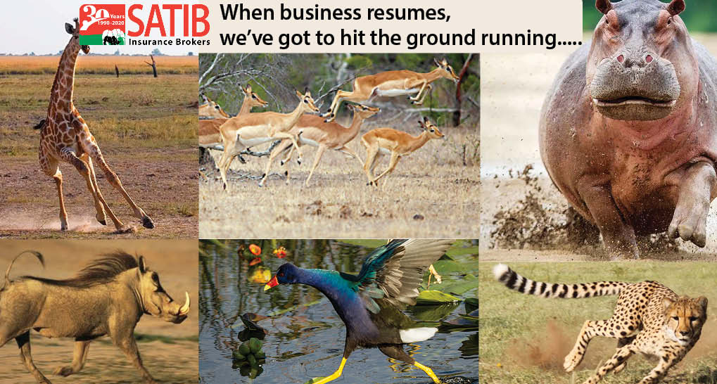 hit the ground running
