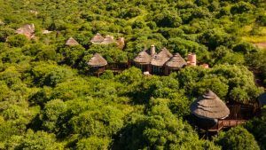 south-africa-kwazulu-natal-luxury-safari-lodge-in-2023-11-27-05-01-56-utc (1)